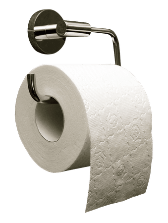 Toilet Paper Roll PNG Image - PurePNG | Free transparent CC0 PNG Image Library