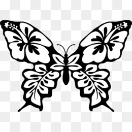 Hawaii butterfly black png