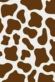 cow print background - Google Search