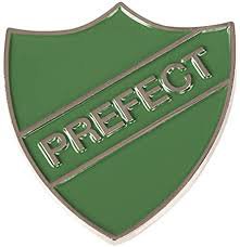slytherin prefect badge