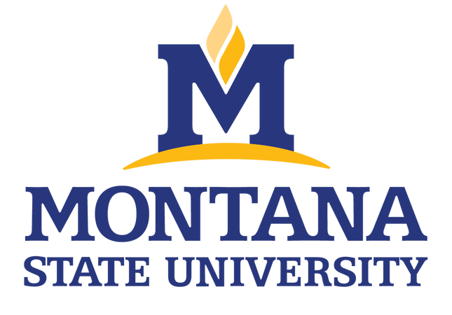 College Spotlight – Montana State University – College Expert