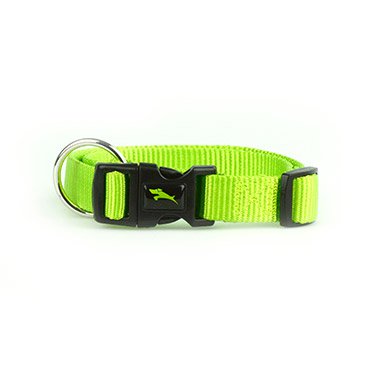 Collars & Leashes - Dog
