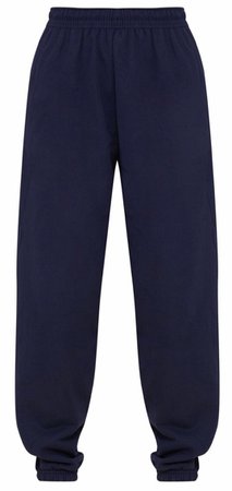 navy blue sweatpants