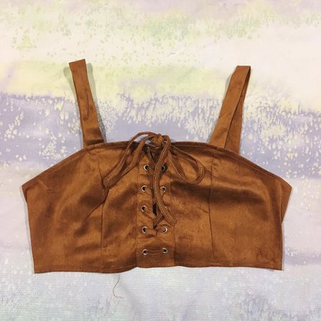 NWOT brown/tan crop top/bralette with back zip closure, slight cutout at front & adjustable lace-up ties