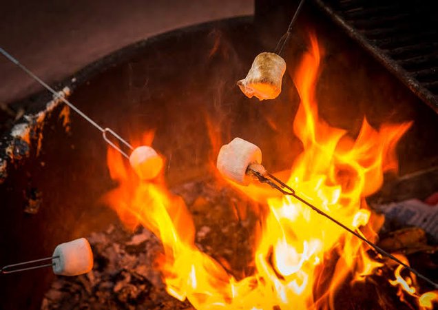 roasting marshmallows over fire