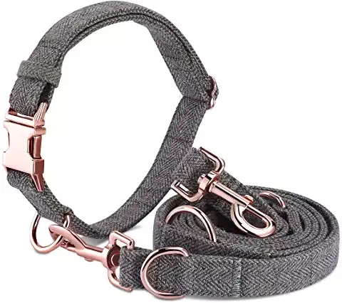 Amazon.ca: dog collars