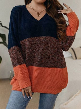SHEIN LUNE Plus Color Block Drop Shoulder Sweater | SHEIN