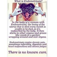 endometriosis sayings - Google Search