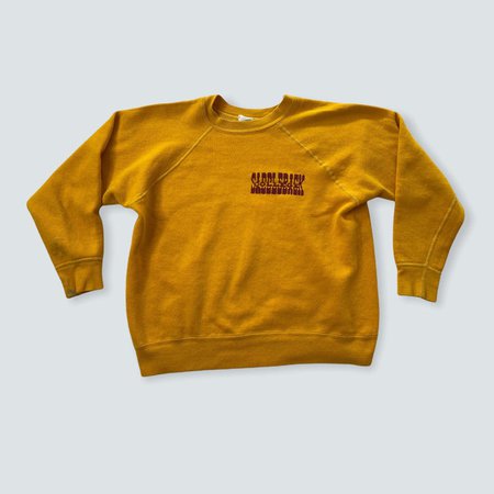 Vintage Champion Sweatshirt Saddleback College 1960s Crewneck | Etsy