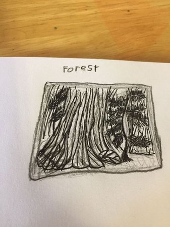 forest art pine tree 🍃🍁🐝🌲