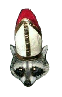 raccoon pope