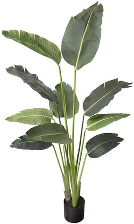 Amazon.com: One 5 foot Artificial Silk Bird of Paradise Palm Tree Potted Plant: Home & Kitchen