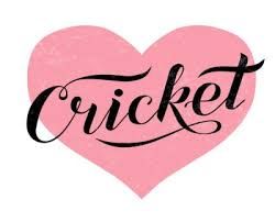 the word cricket - Google Search