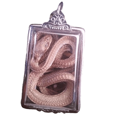 snake locket
