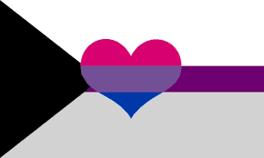 demisexual biromantic flag