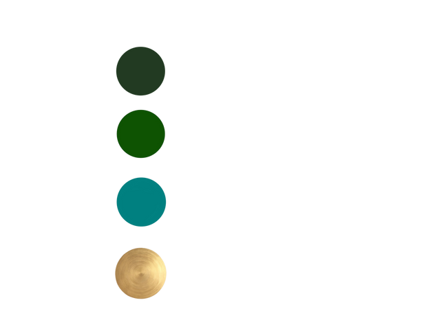 color scheme dot