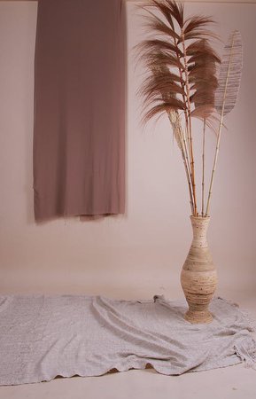 Brown Plant In Brown Vase · Free Stock Photo