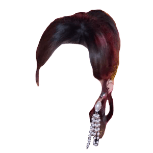 Brown Hair PNG Ponytail