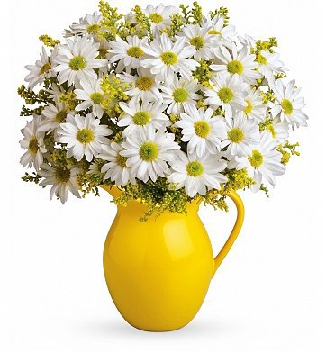 Sunny Day Pitcher of Daisies | Flower Bouquets | 1stopflorists.com