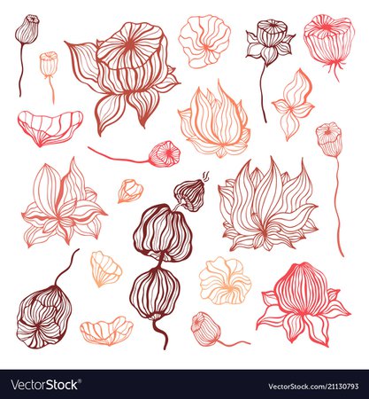 Abstract flower hand drawn Royalty Free Vector Image