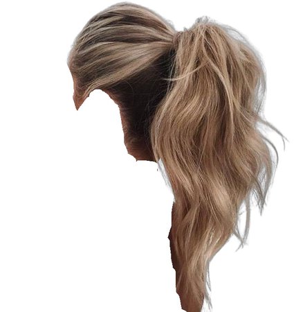 blonde highlights ponytail
