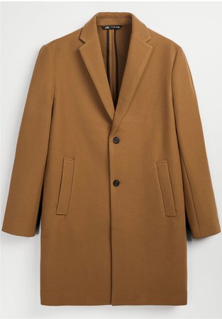 Zara camel coat