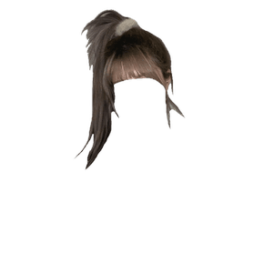 grey/gray hair png ponytail bangs