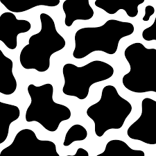 cow print - Google Search