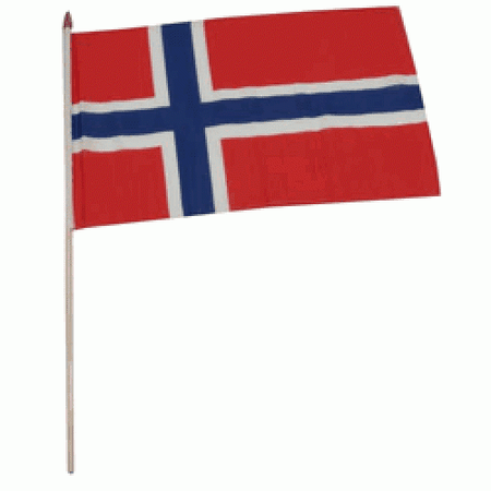 Norway hand flag