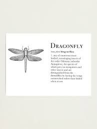 dragonflies fashion editorial - Google Search