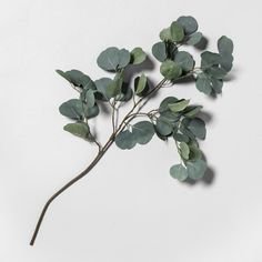 faux eucalyptus stem