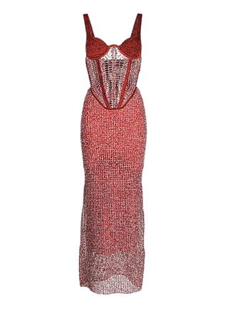 Dion Lee red silver corset sheer dress