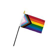 pride flag on stick - Google Search