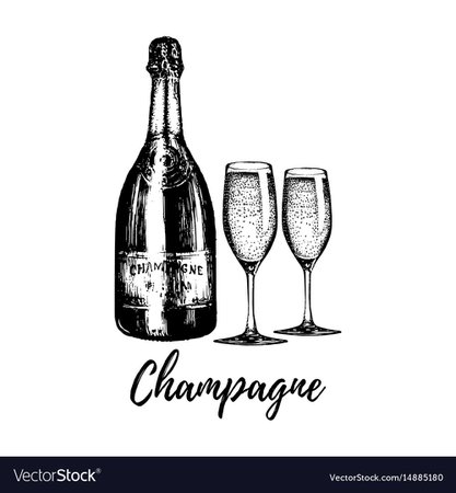 Hand sketched champagne bottle and two glasses Vector Image