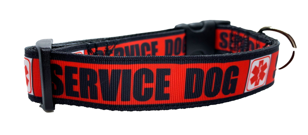 service dog collar - Google Search