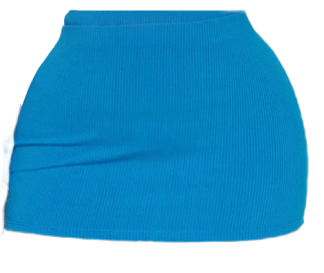 Fashion Nova- Melinna Snatched Micro Mini Skirt