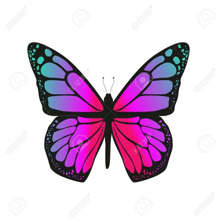 asas borboleta - Pesquisa Google