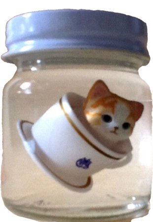 cat jar