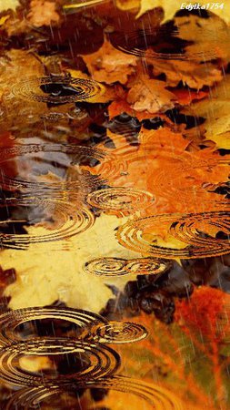 autumn rain aesthetic