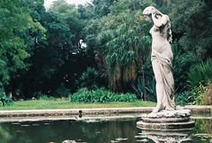 pond and statue