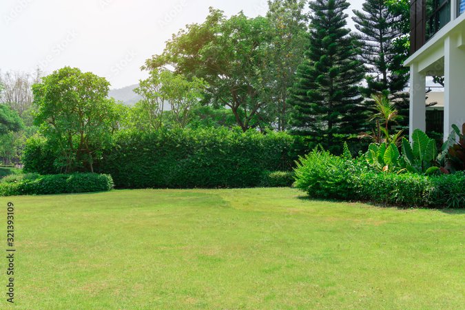Fresh green grass smooth lawn as a carpet with curve form of bush, trees on the background, good maintenance lanscapes in a garden under cloudy sky and morning sunlight Stock Photo | Adobe Stock