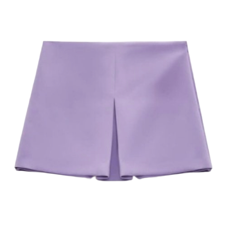 Zara High Wait Skirt