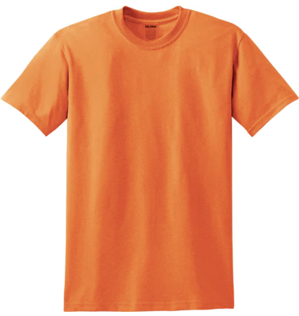 MICHAELS orange shirt