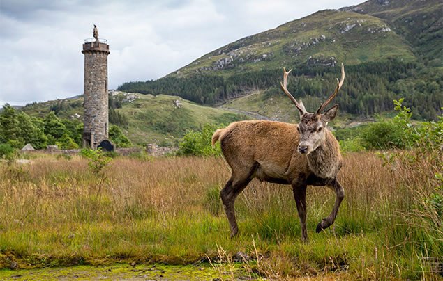 Fabulous facts about Scotland! | National Geographic Kids