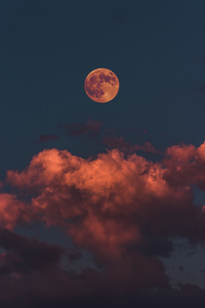 red sky night blood moon background