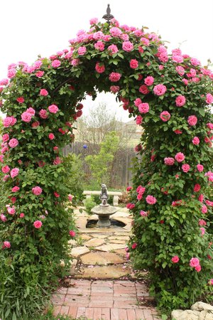 rose garden entrance - Google Search
