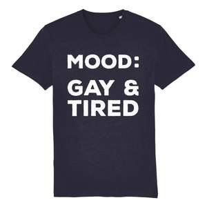 Proud Lesbian T Shirt | Lesbian Pride Shirt | Rainbow & Co