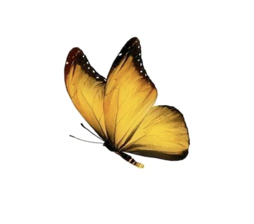 Butterfly yellow 1