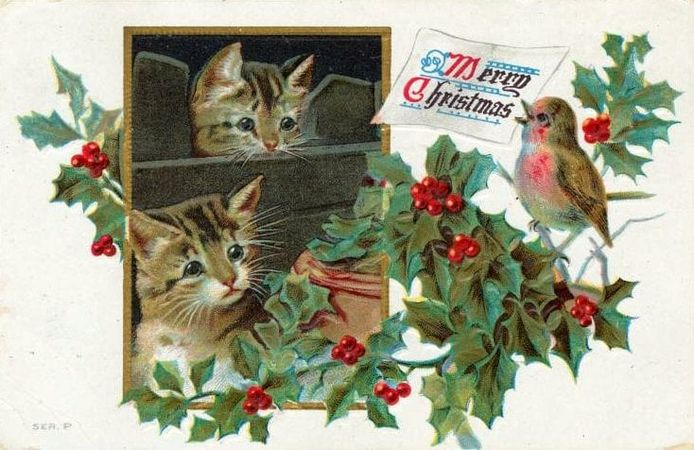 Vintage-Christmas-postcard-with-two-kittens-from-1911.jpg (734×476)