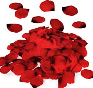 Amazon.com: Royal Imports Red Silk Flower Romantic Artificial Rose Petals for Wedding Aisle, Party Favor & Table, Vase, Home Decoration, 1000 PCS : Home & Kitchen